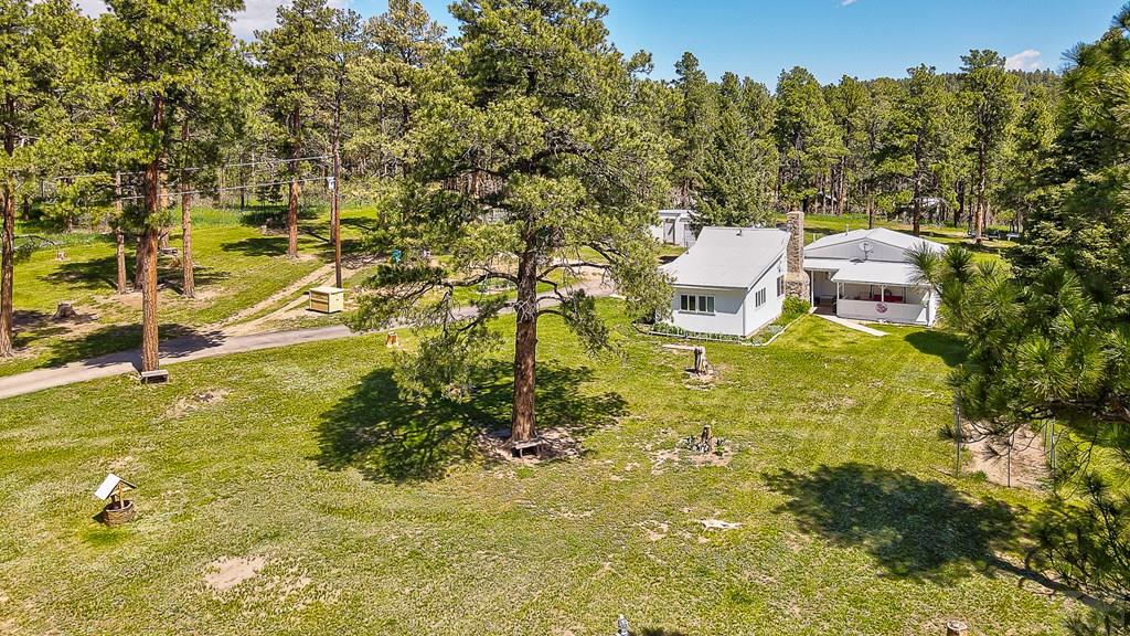 8221 Green Tower Lane Rye, CO 81069 - Photo 38 of 40
