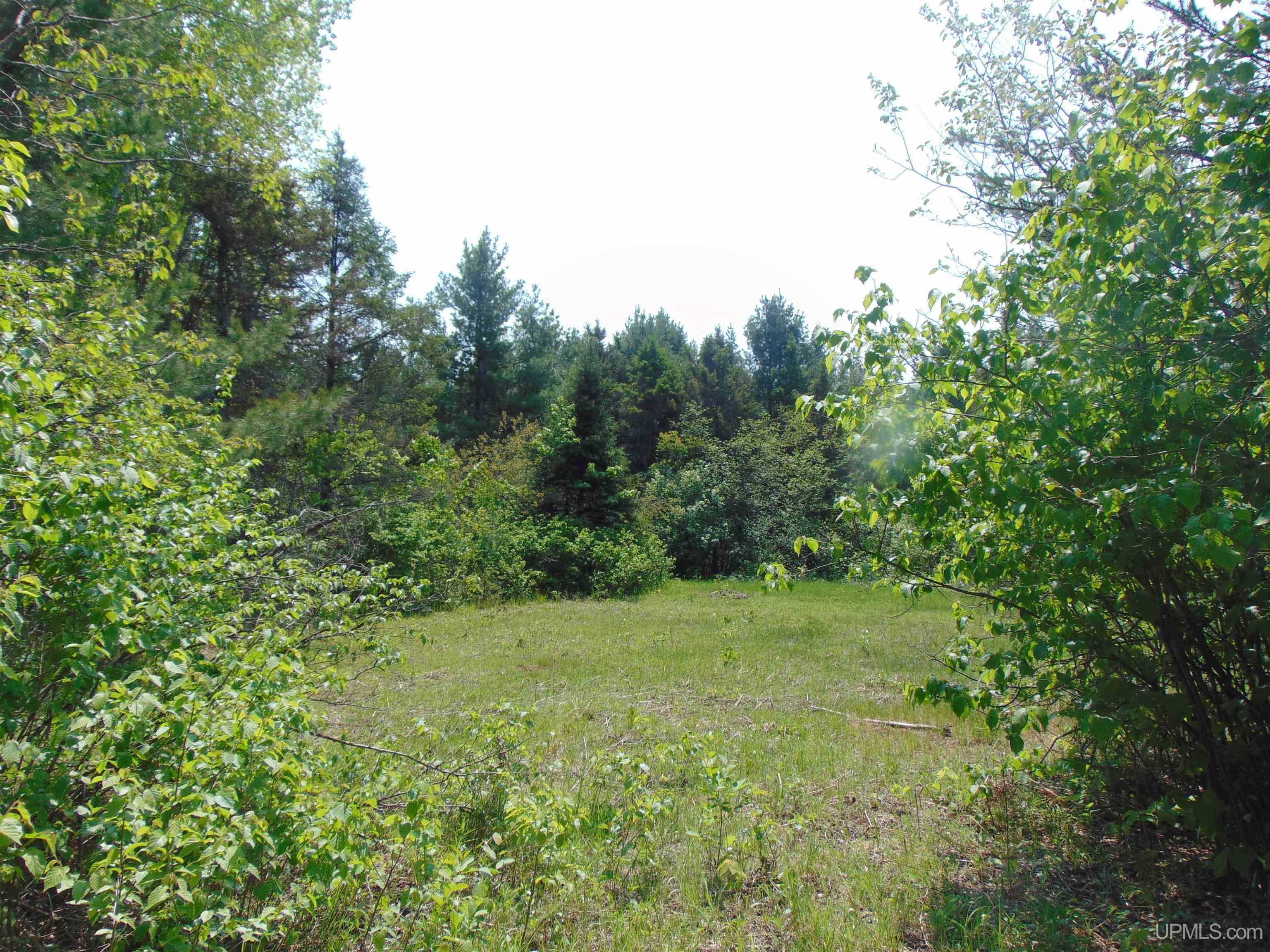 1 Larson Road Bruce Crossing, MI 49912 - Photo 21 of 34