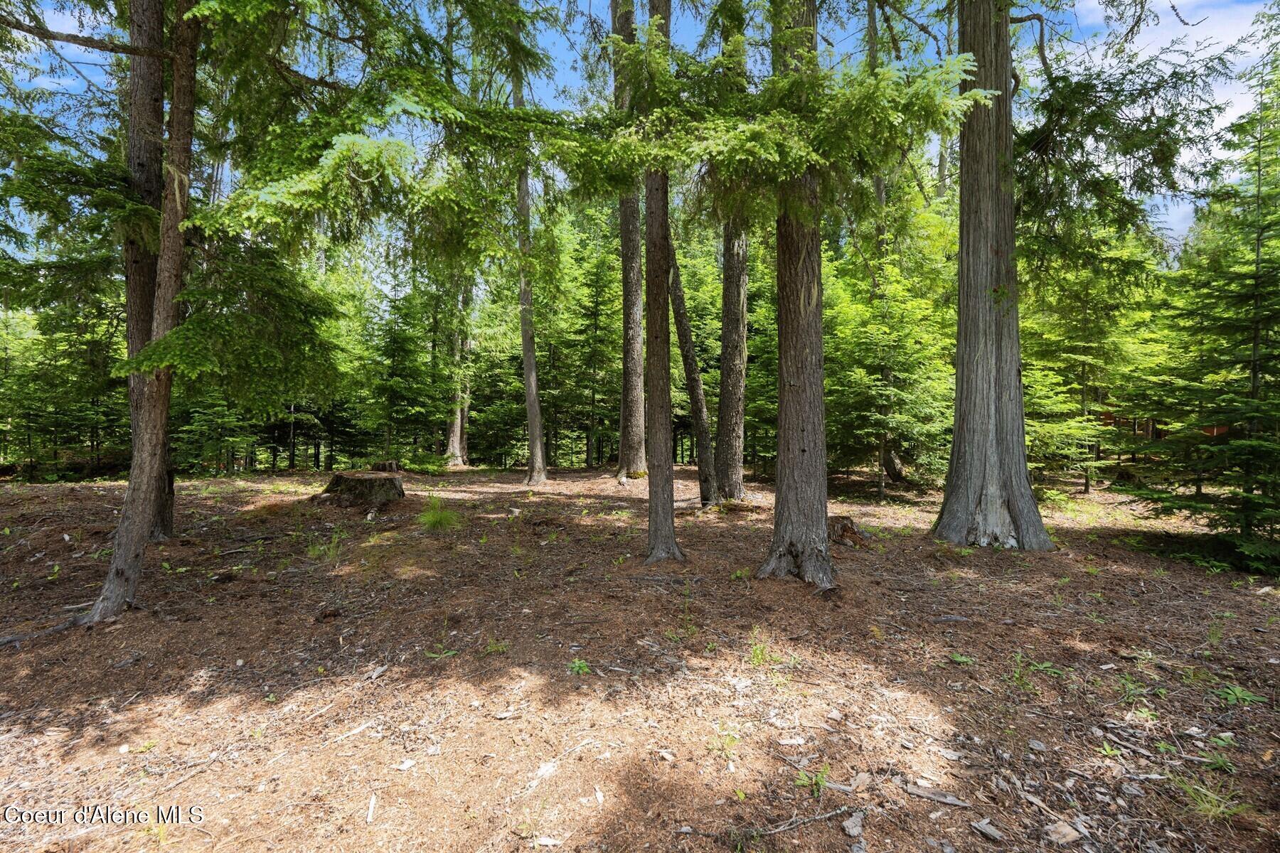 Lot 29 Bruin Road Nordman, ID 83848 - Photo 13 of 44 86560208