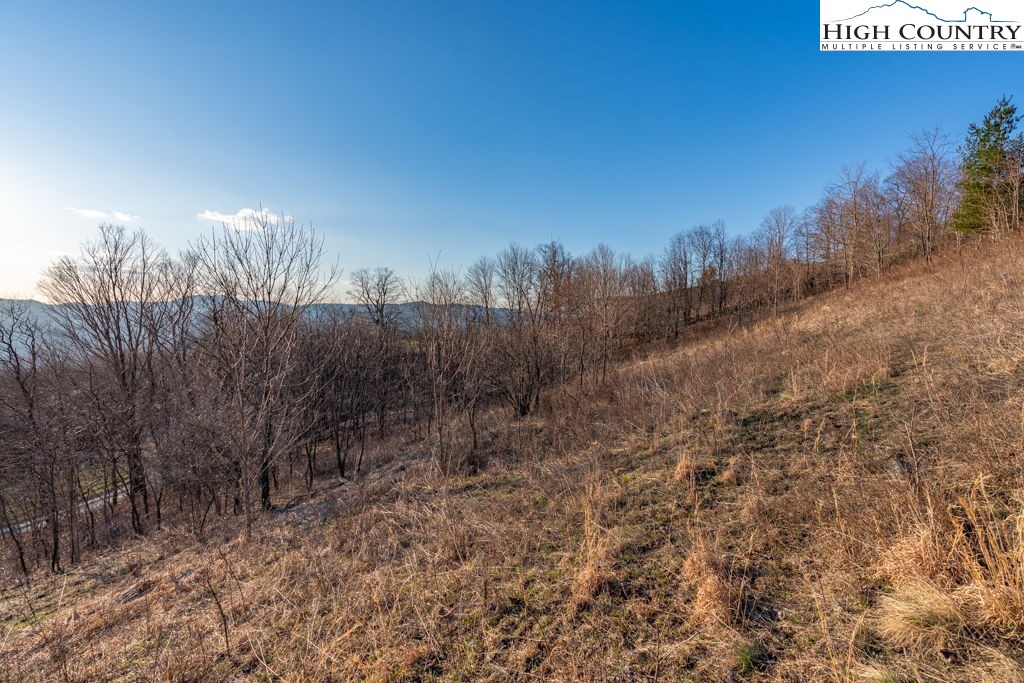 C105 Acorn Nvno Road Zionville, NC 28698 - Photo 11 of 35 a view of a yard