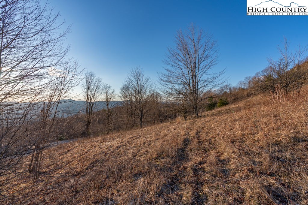 C105 Acorn Nvno Road Zionville, NC 28698 - Photo 13 of 35 a view of backyard and trees