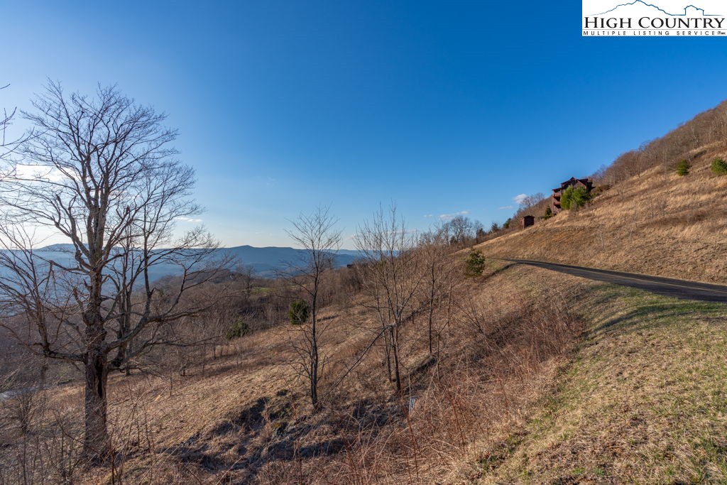 C105 Acorn Nvno Road Zionville, NC 28698 - Photo 5 of 35 a view of a dry yard with trees