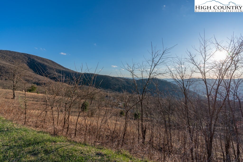 C105 Acorn Nvno Road Zionville, NC 28698 - Photo 6 of 35 a view of a dry yard with trees