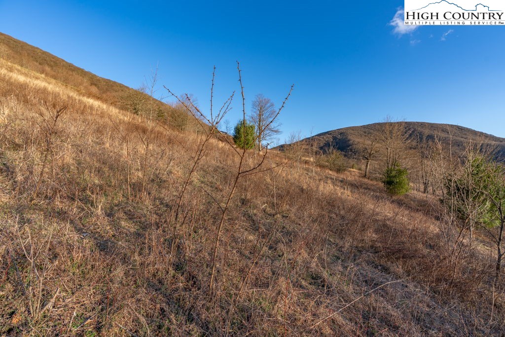 C105 Acorn Nvno Road Zionville, NC 28698 - Photo 9 of 35 a view of a dry yard with wooden fence