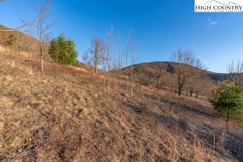 C105 Acorn Nvno Road Zionville, NC 28698 - Photo 10 of 35 a view of a backyard