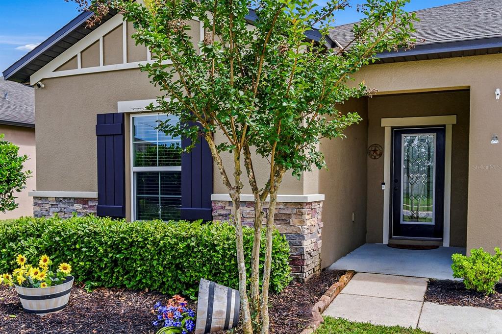 18738 Alfaro Loop Spring Hill, FL 34610 - Photo 4 of 46