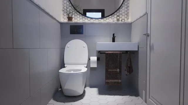 a bathroom with a toilet and a sink