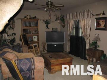 831 Boone Street Road Sandoval, IL 62882 - Photo 3 of 8