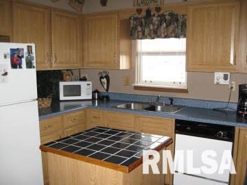 831 Boone Street Road Sandoval, IL 62882 - Photo 4 of 8