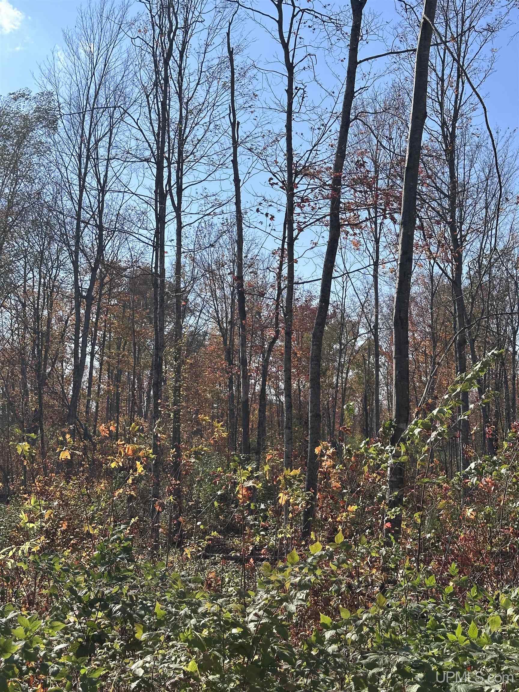 Tbd Co Rd 496 (b) Road, Unit PARCEL B Champion, MI 49814 - Photo 25 of 33