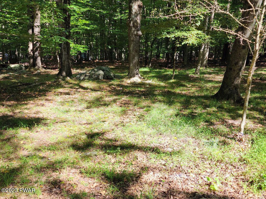 32 Kensington Road Hawley, PA 18428 - Photo 19 of 32 Additional Wooded Area