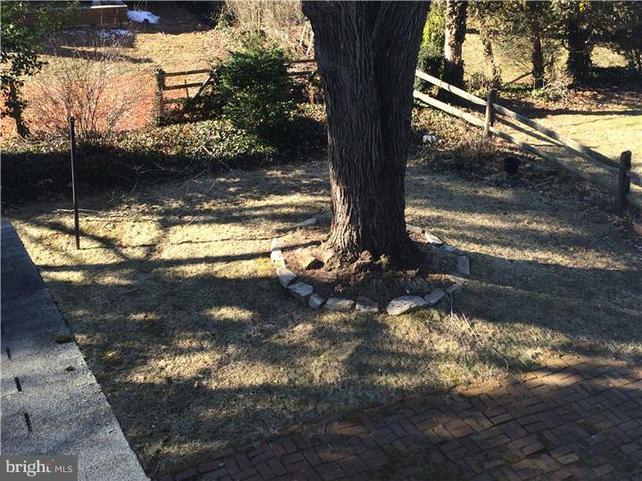 318 Ridgewood Road Springfield, PA 19064 - Photo 24 of 24 Back Yard