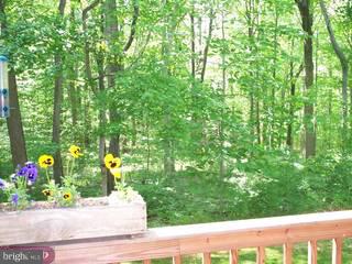115 Chalfont Road Kennett Square, PA 19348 - Photo 3 of 6 Gallery Image 3