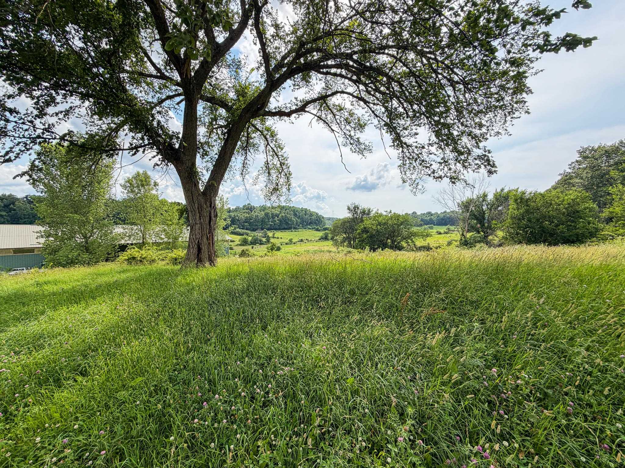 E4150 Tuckertown Road Loganville, WI 53943 - Photo 86 of 90