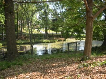 395 Lofton Road Northwest Atlanta, GA 30309 - Photo 17 of 19