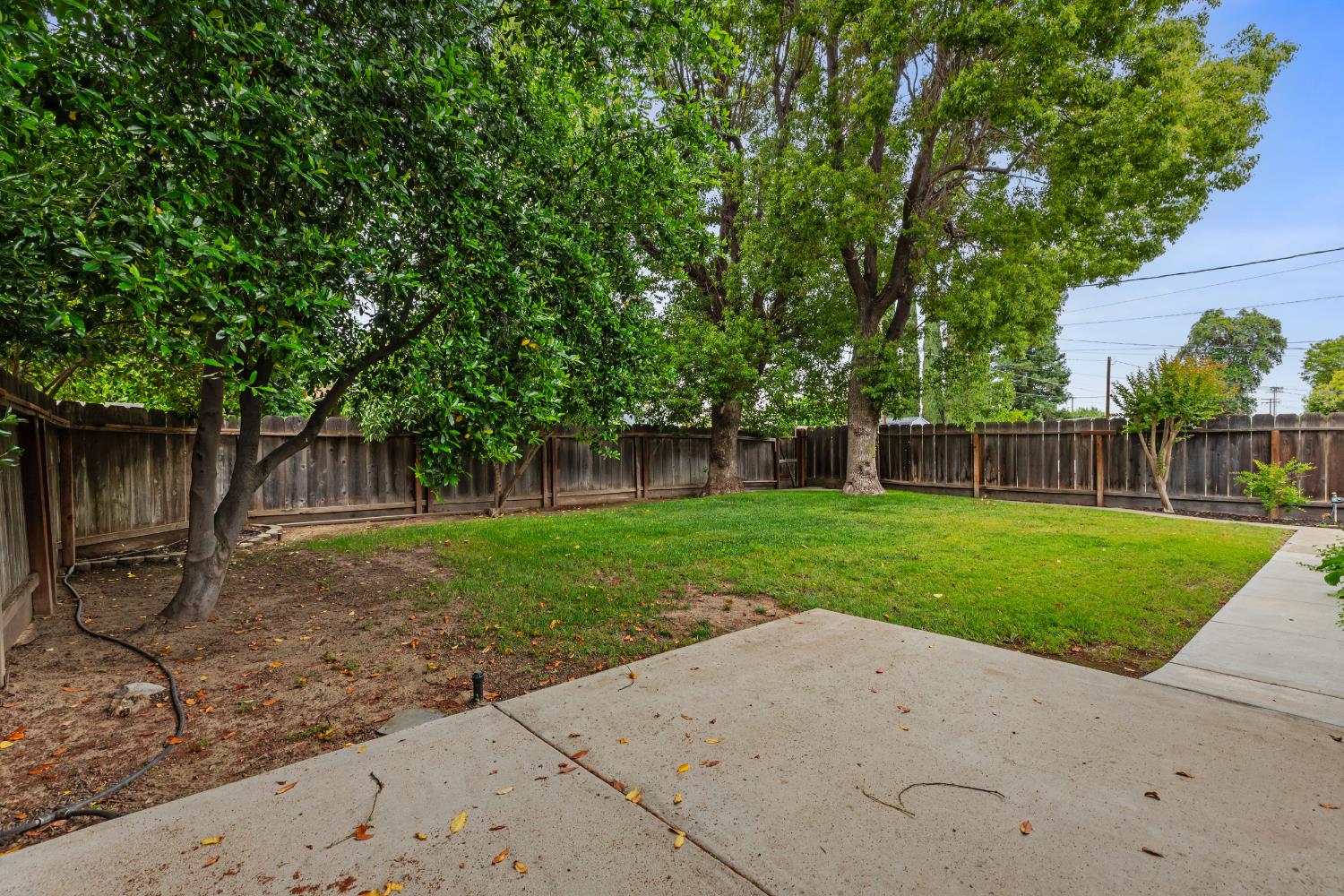 550 Bell Street Turlock, CA 95380 - Photo 24 of 36 a view of a yard with wooden fence and a large tree