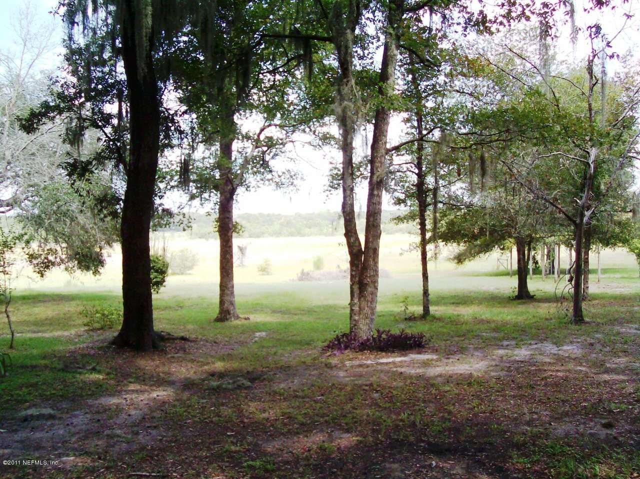 6999 Gatorbone Road Keystone Heights, FL 32656 - Photo 8 of 25 Prairie View