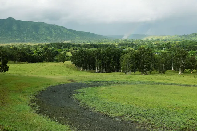 a view of an outdoor space and a yard
