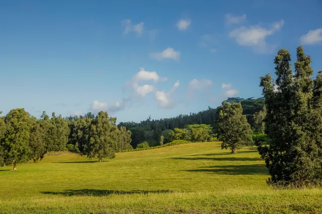 a view of a mountain with a yard