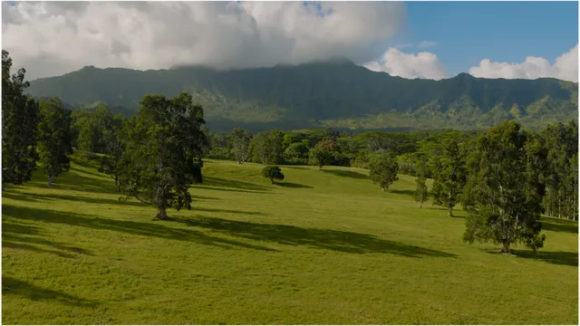 a view of a golf course with a lake