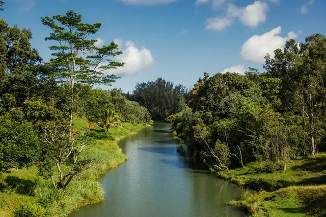 a view of a lake with a yard