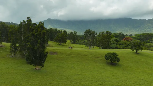 a view of a golf course