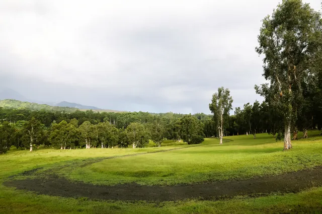 a view of a golf course