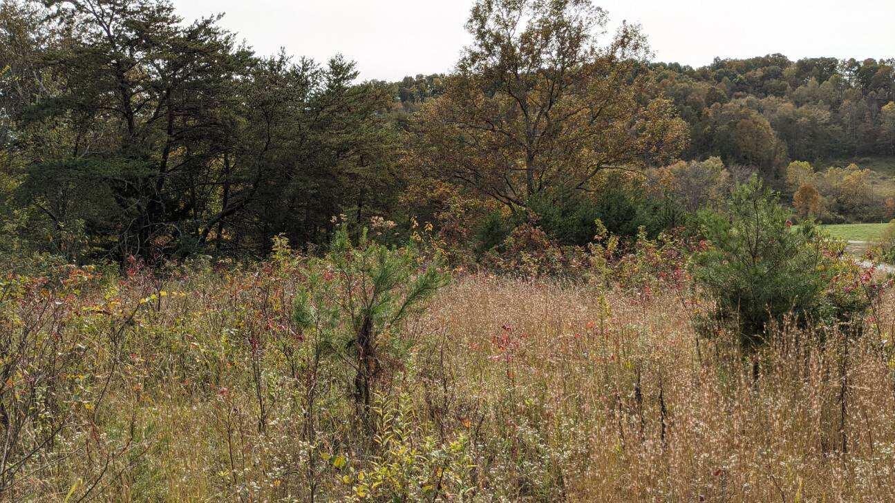 2128 Taylor School Road London, KY 40741 - Photo 14 of 26 13
