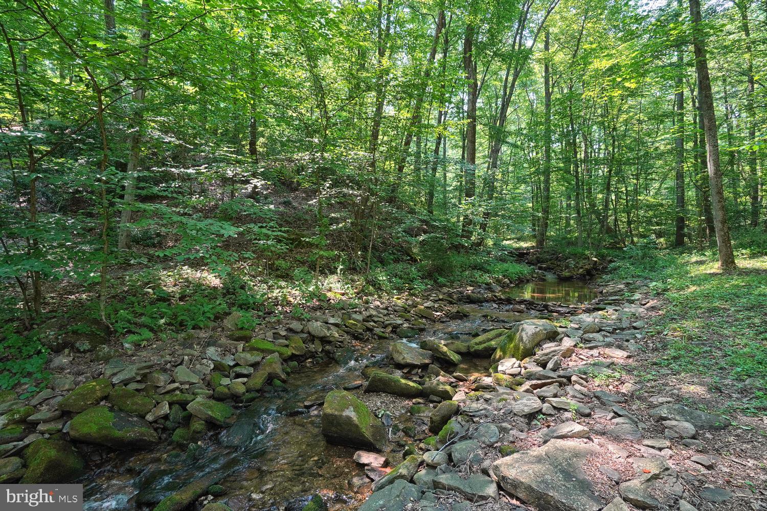 9217 Hamburg Road Frederick, MD 21702 - Photo 40 of 41