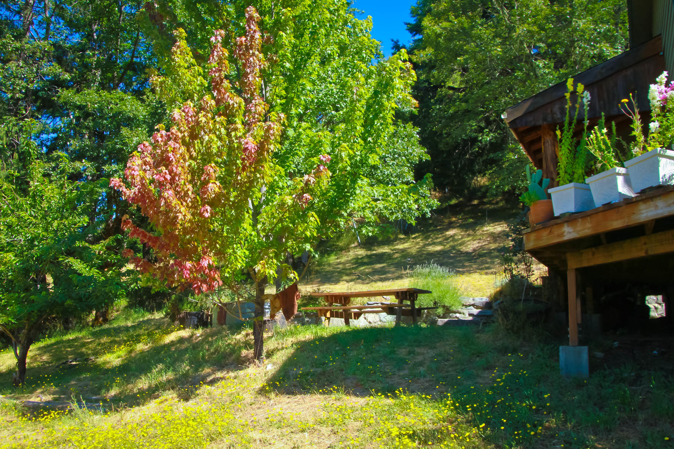 2292 Titlow Hill Road Blue Lake, CA 95525 - Photo 47 of 79