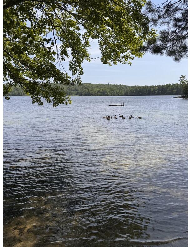 Lot #18 Biscay Road Damariscotta, ME 04543 - Photo 1 of 1 IMG_8729.heic