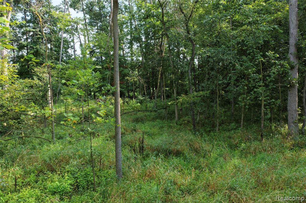 5891 North Allen Road Allen, MI 49227 - Photo 9 of 17 Gallery Image 9
