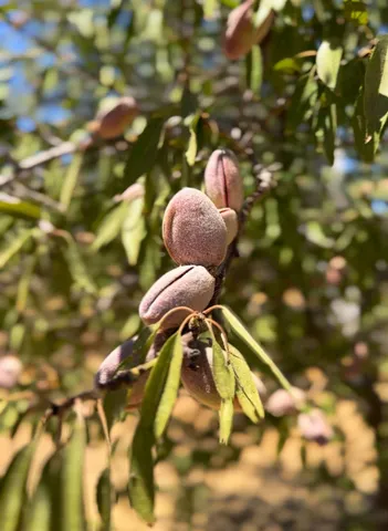 a view of a swimming pool with an ocean view