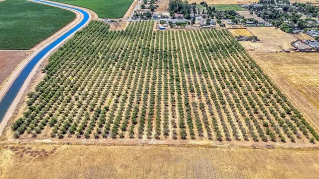 an aerial view of forest