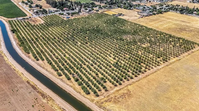 a view of outdoor space and trees