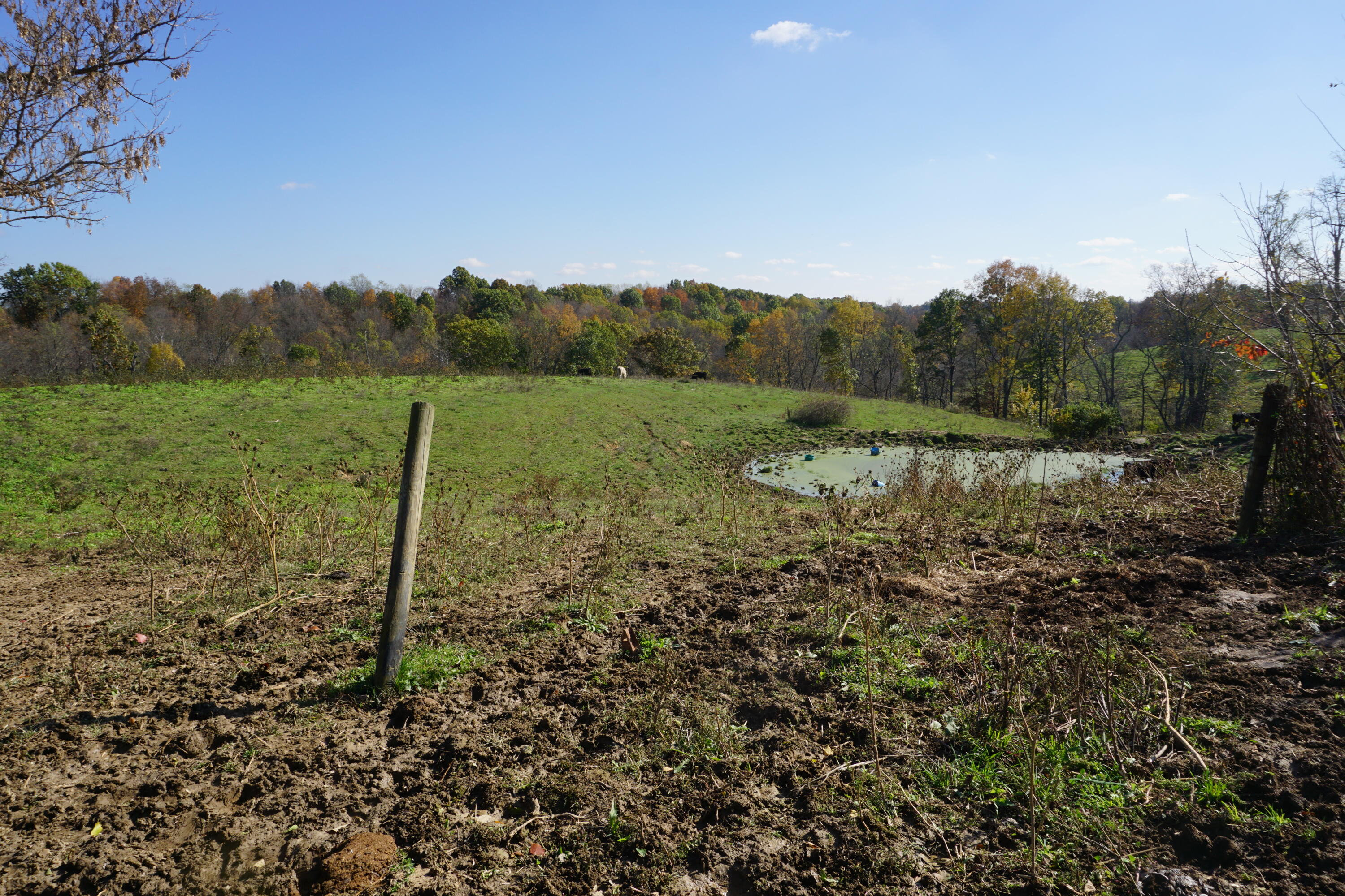 420 Sugar Creek Road Dry Ridge, KY 41035 - Photo 9 of 41