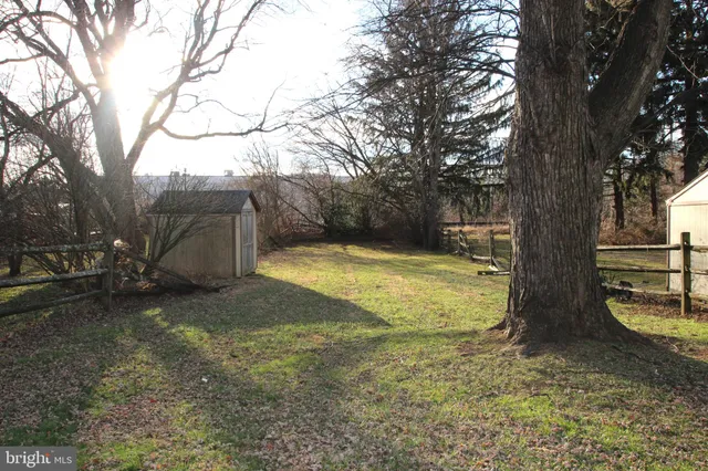 a view of a backyard with large trees