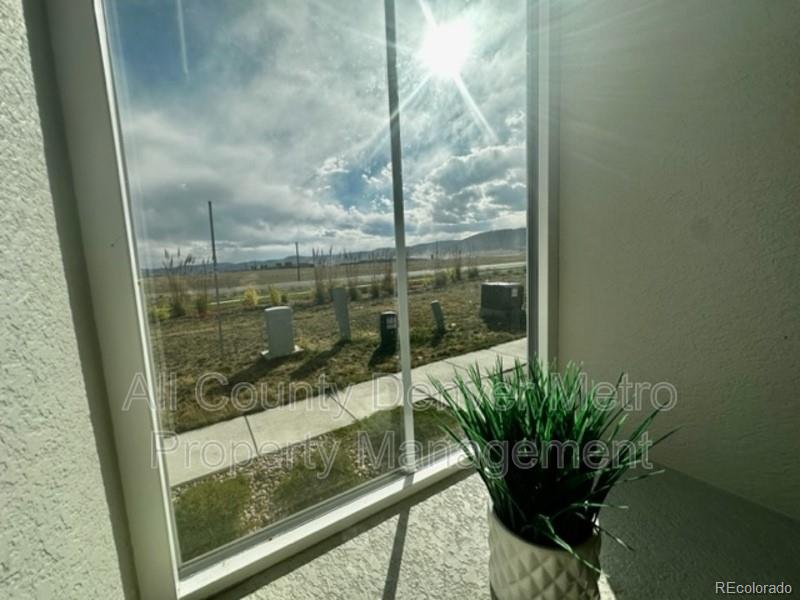 19580 West 92nd Drive, Unit E Arvada, CO 80007 - Photo 22 of 25 a view of a balcony with a potted plant