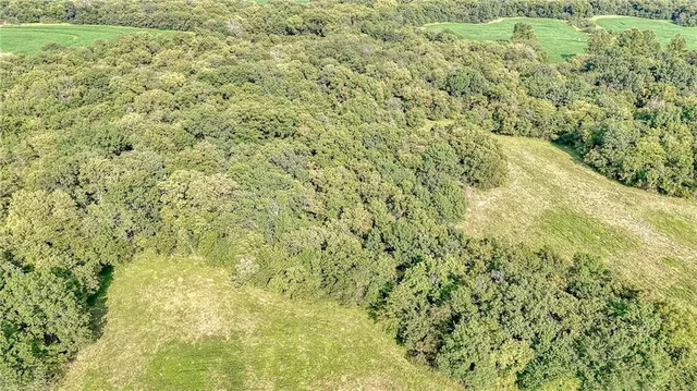 $469,900 | 475 Southwest 801st Road, Holden, MO 64040