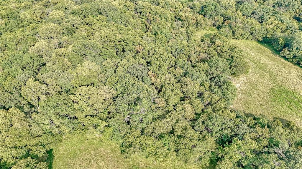 475 Southwest 801st Road Holden, MO 64040 - Photo 48 of 67