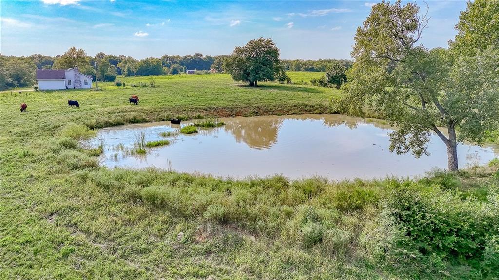 475 Southwest 801st Road Holden, MO 64040 - Photo 60 of 67