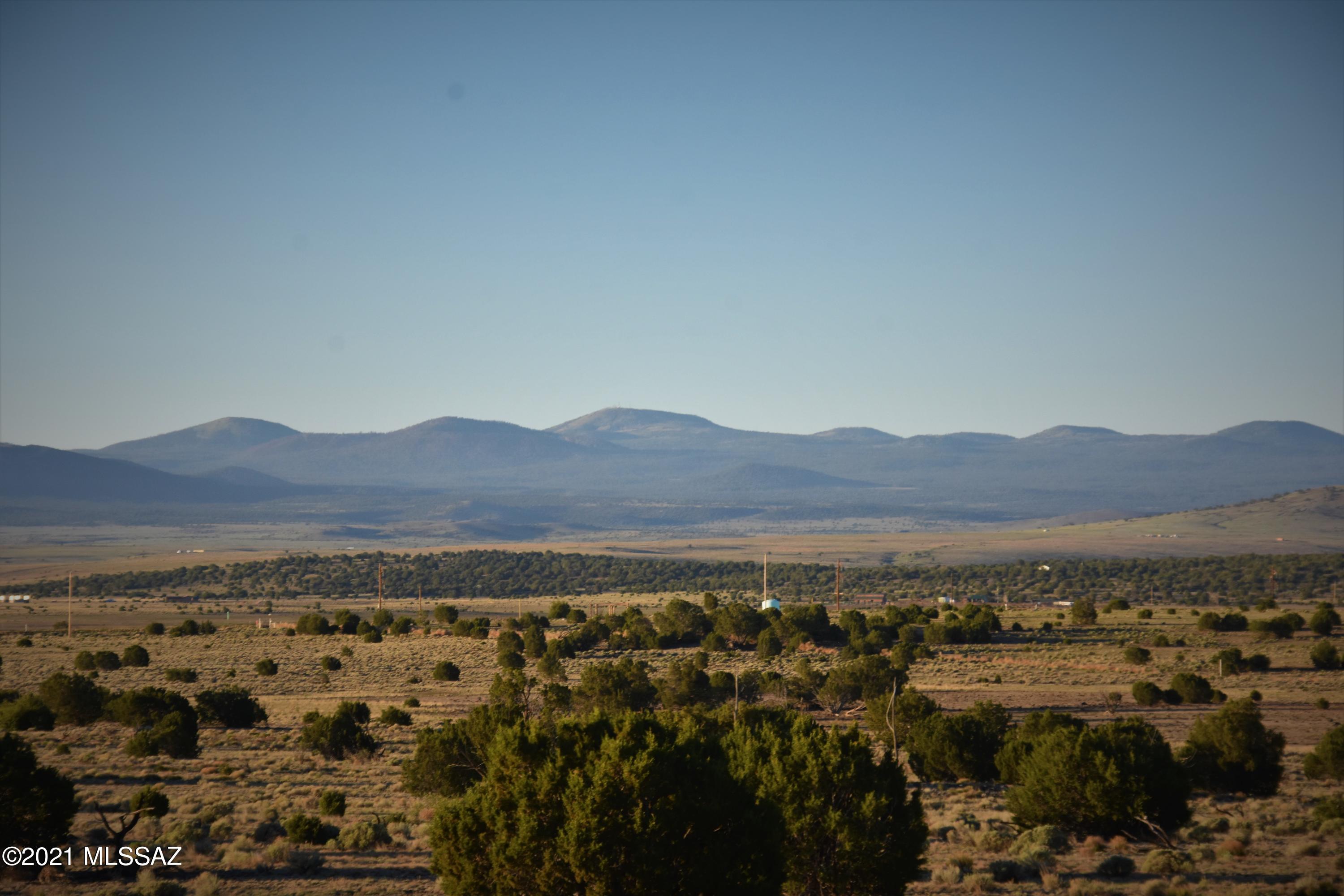 180 County Road Concho, AZ 85924 - Photo 4 of 40