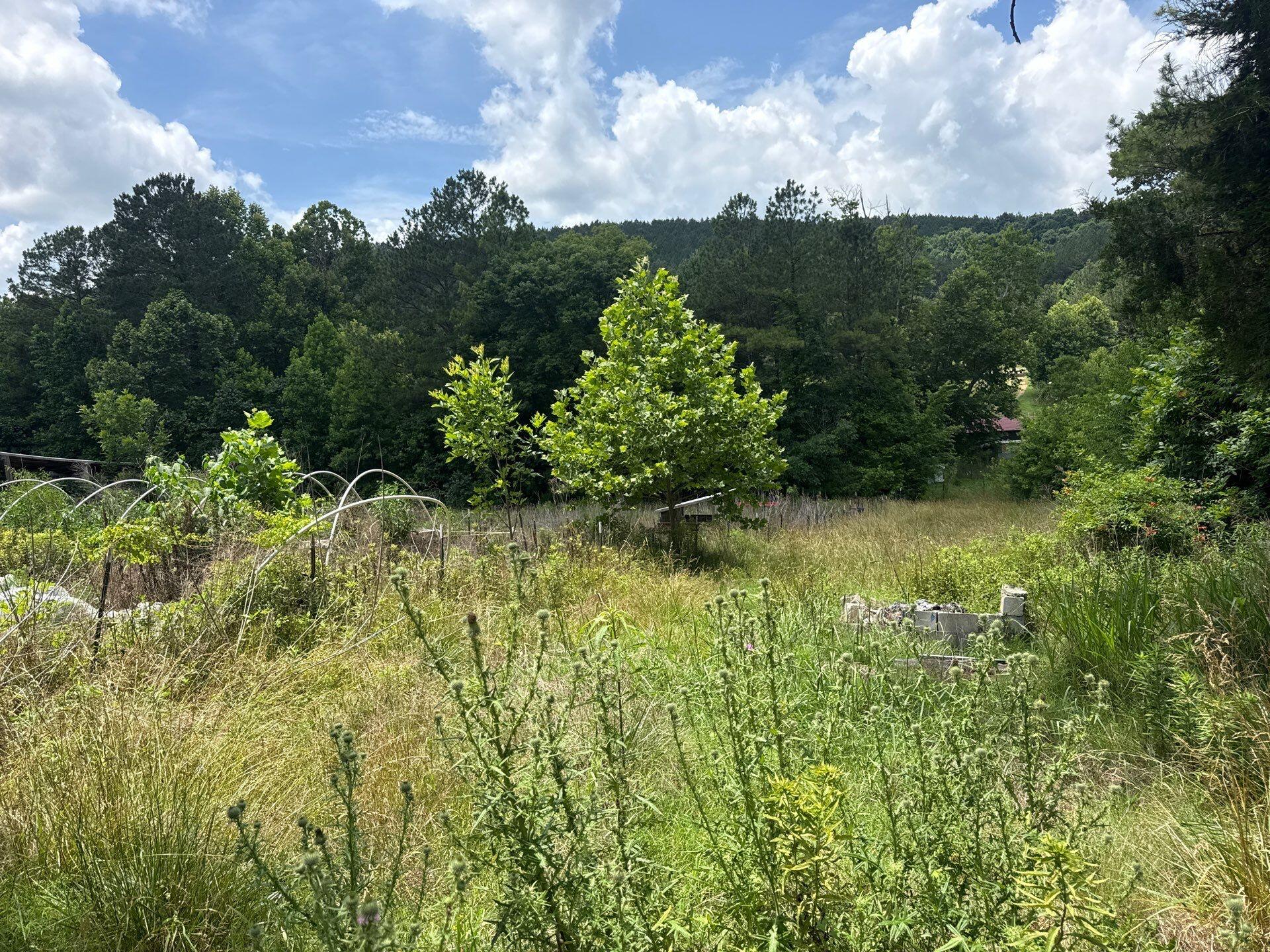 3804 Redman Lane Decatur, TN 37322 - Photo 13 of 33 project_107246054_06092026_1750(2)