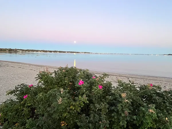 a view of a lake with a lake view