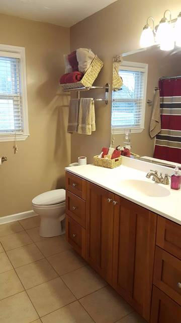 5115 Bethlehem Road Boones Mill, VA 24065 - Photo 25 of 42 a bathroom with a sink mirror vanity and toilet