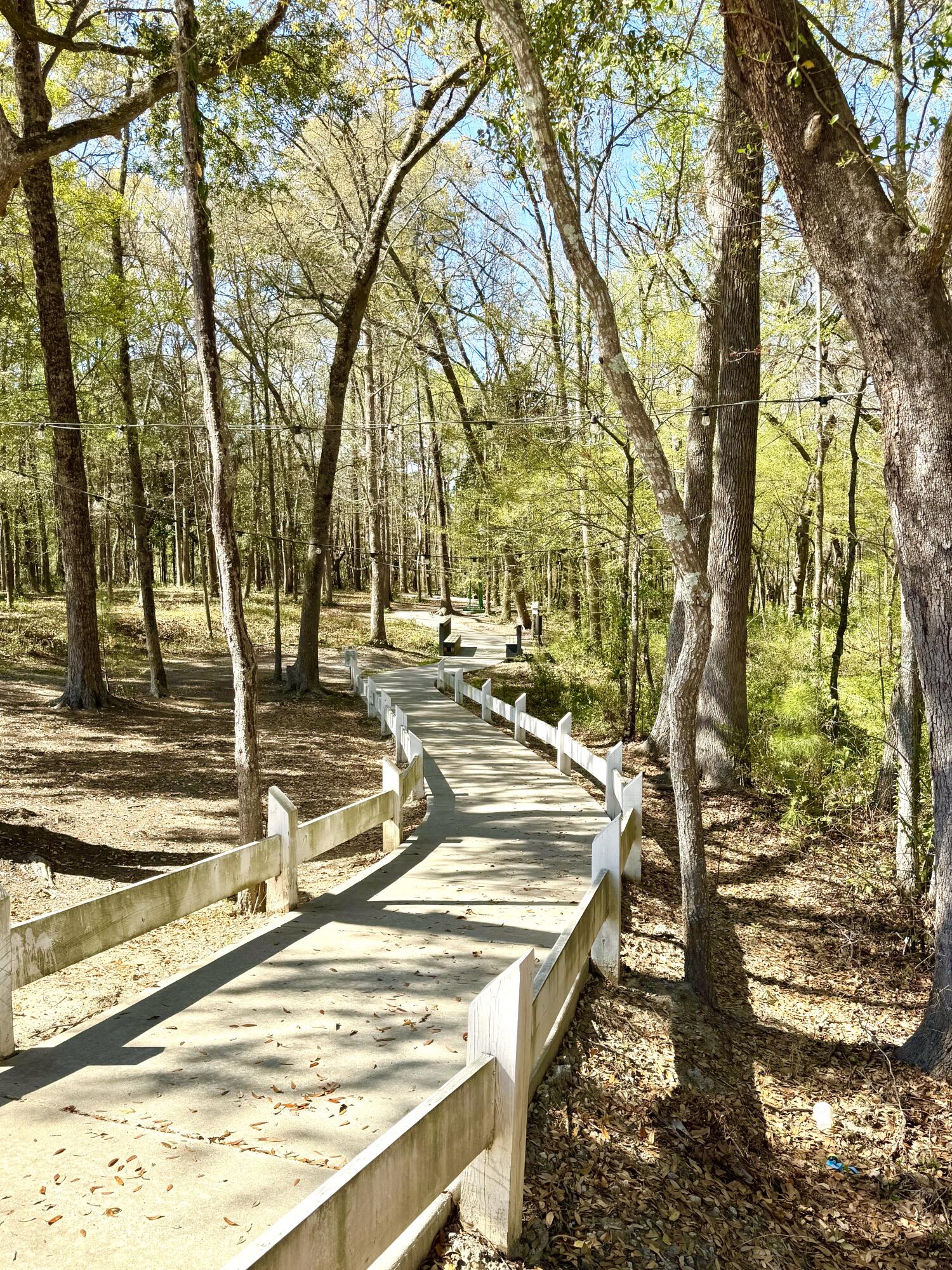 2014 Codorus Lane Hanahan, SC 29410 - Photo 34 of 35 Trail