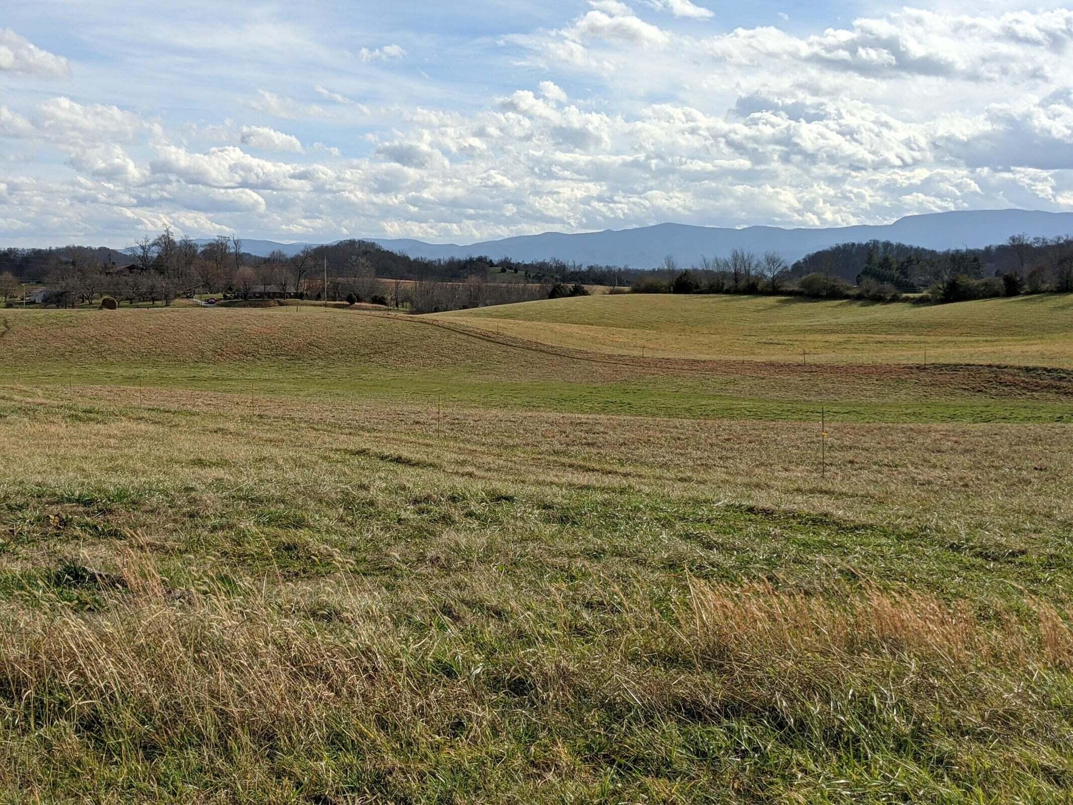 Lot 3 Mary Lamons Road Afton, TN 37616 - Photo 1 of 2 mary lamons3