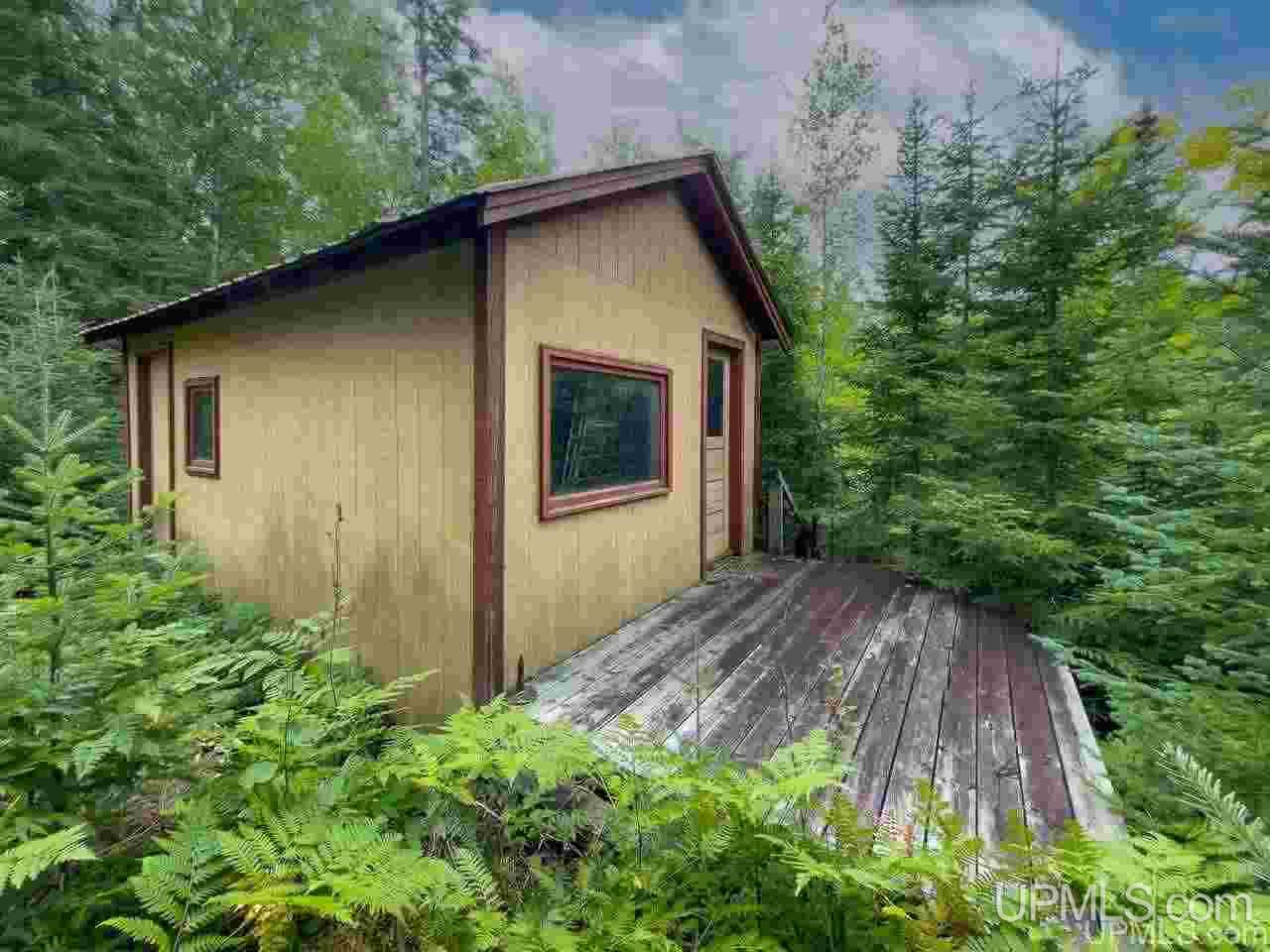 On On Chaney Lake Road Wakefield, MI 49968 - Photo 7 of 18