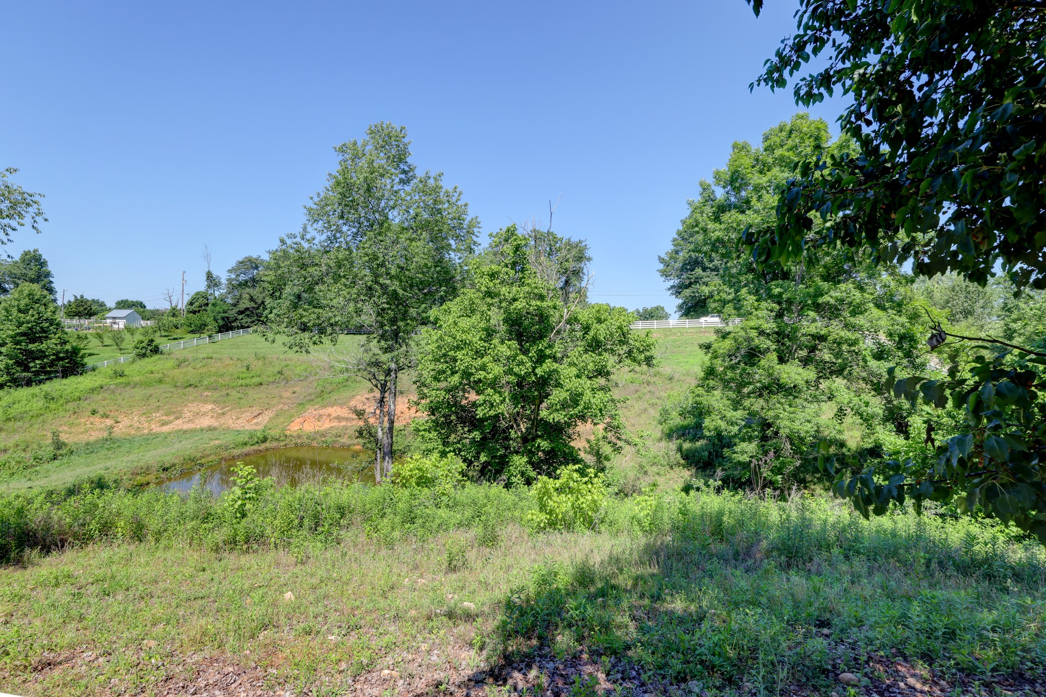 2251 Davidson Graveyard Road Clarksville, TN 37043 - Photo 14 of 78 a view of a lush green space