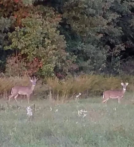 $110,000 | 22805 Cc Highway, Warsaw, MO 65355